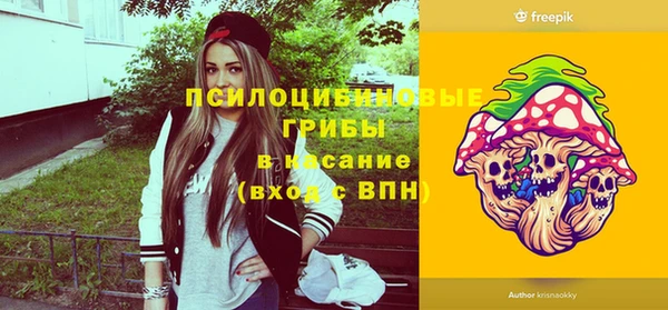 соль ск Аркадак