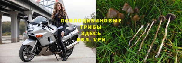 СК Алексин